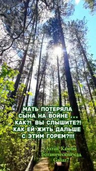 Алтай Камлак Ботанический сад