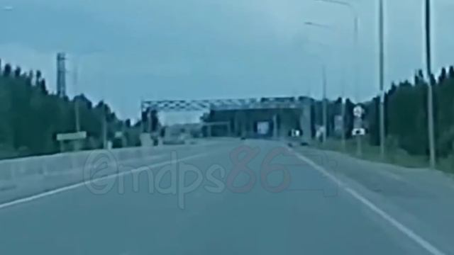 медведь Сургут 2025