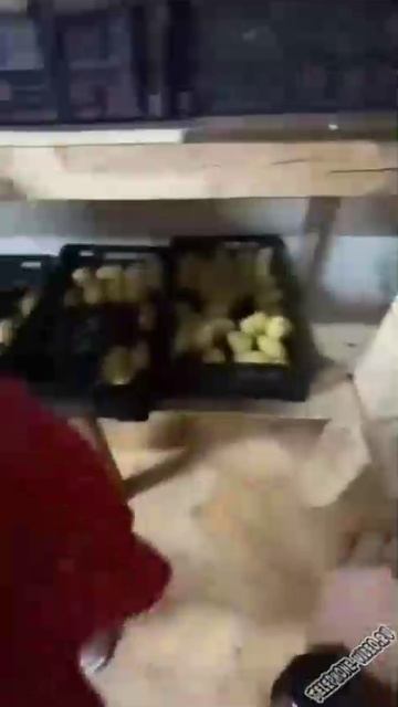 КАК ПРАВИЛЬНО ВЫБРАТЬ АРБУЗ
