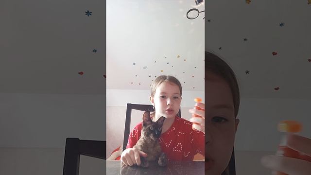 1000034902.mp4