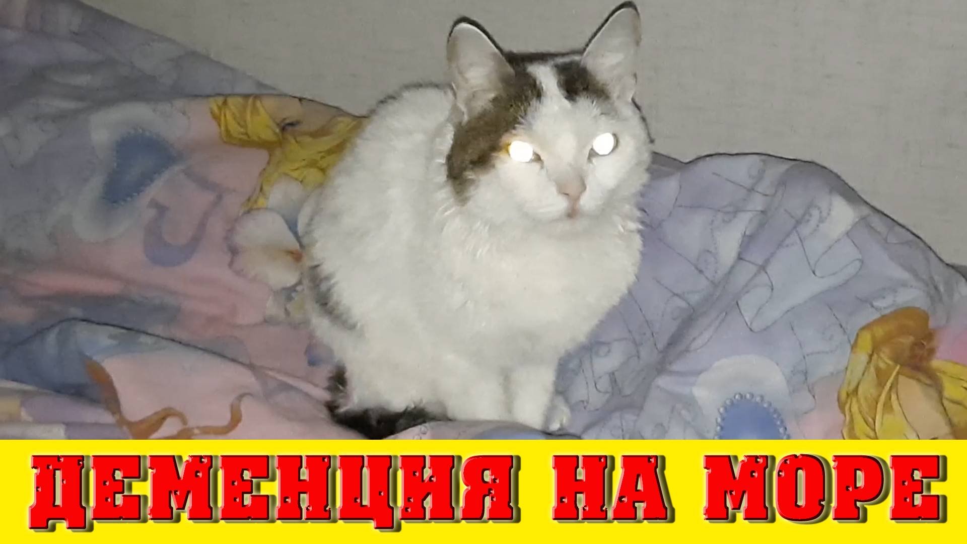 Мама сбежала. Деменция. Сериал «Море 24», 16-я серия.