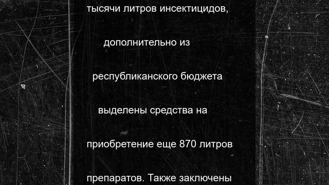Более 24 тысяч гектаров сельхозугодий обработано от саранчи в Дагестане