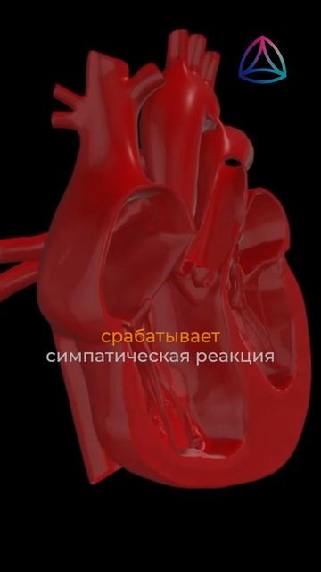 А что, если прямо сейчас в каждом из нас спрятан ключ к абсолютно другой жизни?