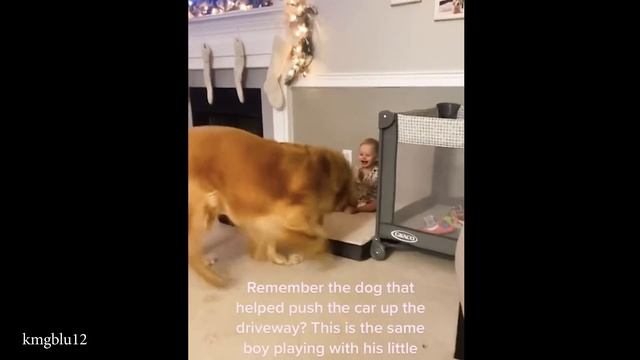 Младенцы и домашние животные Так уморительно милы вместе!