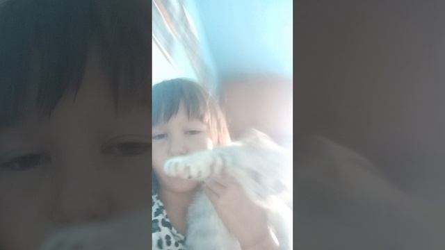 мой котёнок