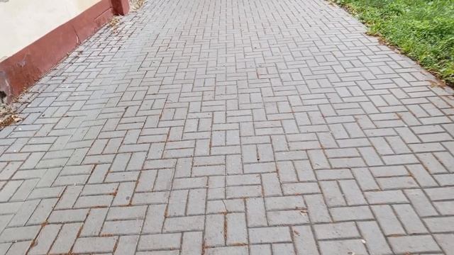Прогулка по городу, Тамбов