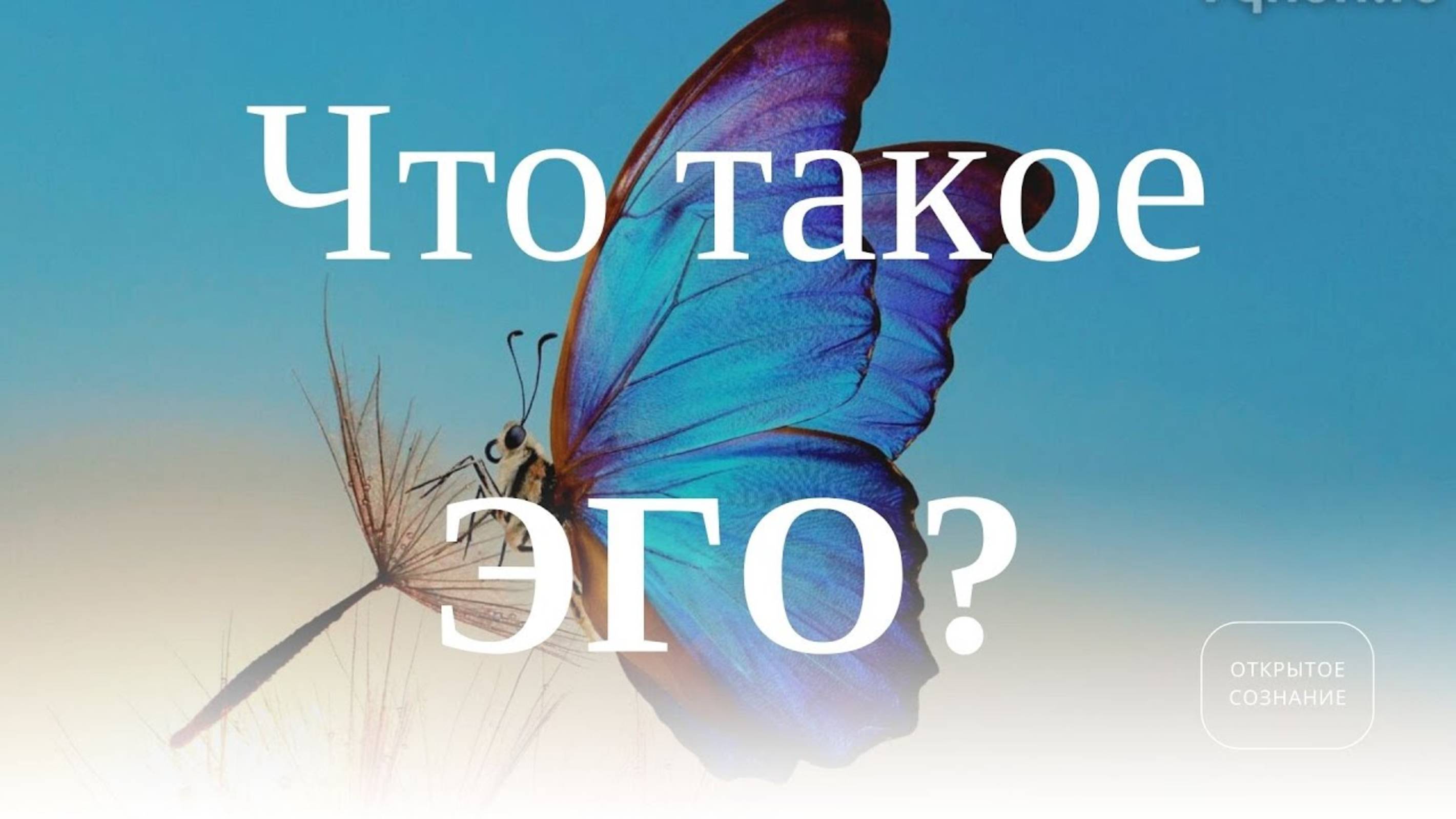 ЧТО  ТАКОЕ  ЭГО ?