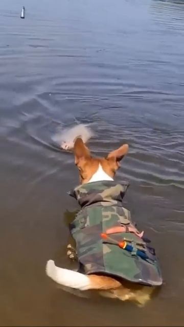 Живой Подсак.