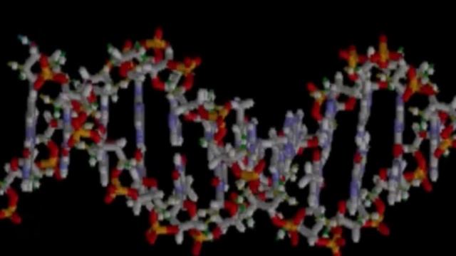официальный список перечень оригинальных чистых базовых матриц Петра Гаряева-official-list-of-Gariae