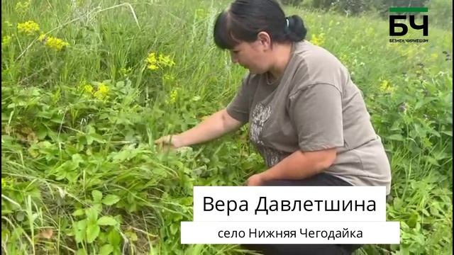 Черемшанцы открыли ягодный сезон