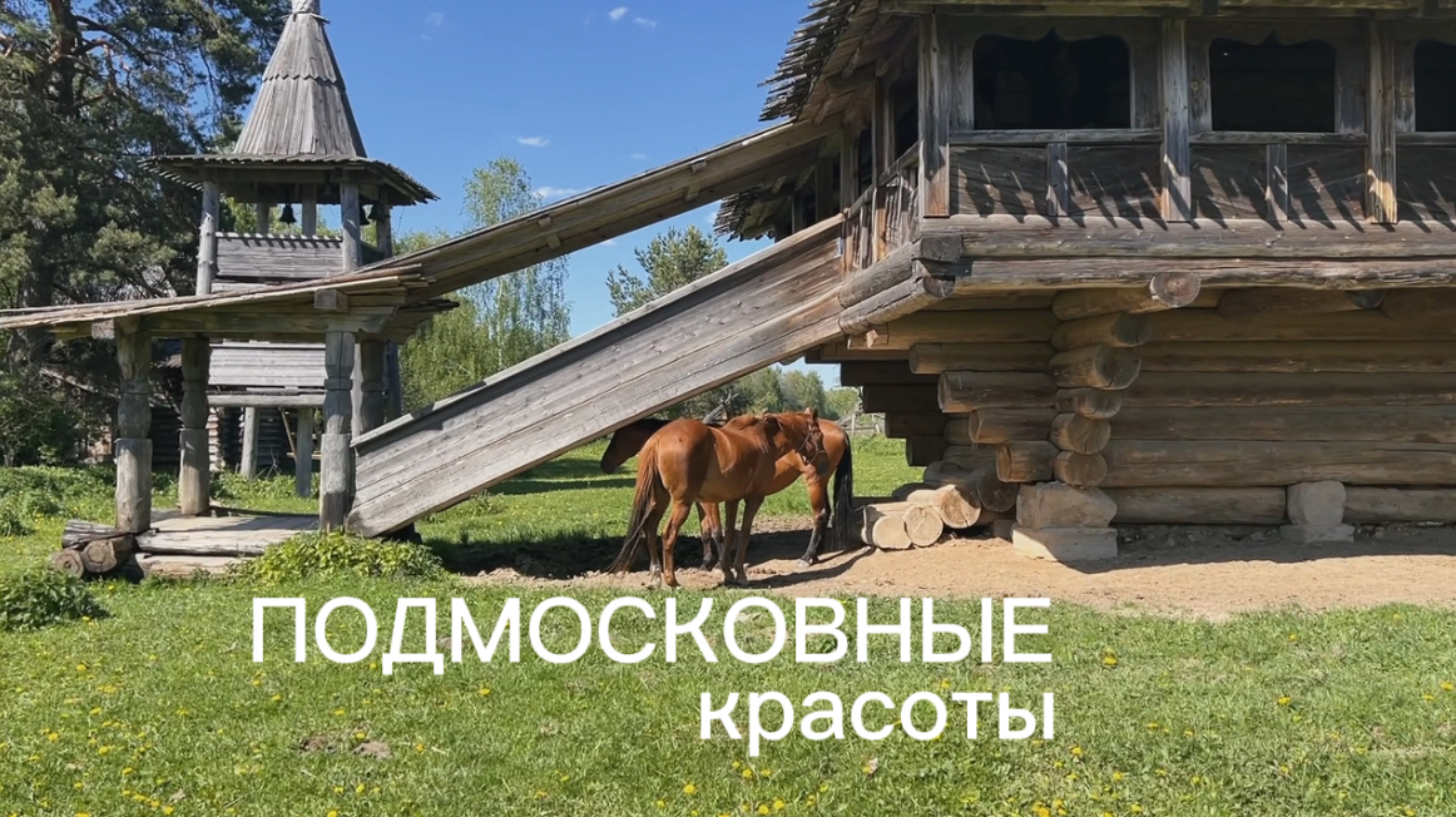 Путешествие в Подмосковные красоты. 
Творческая история