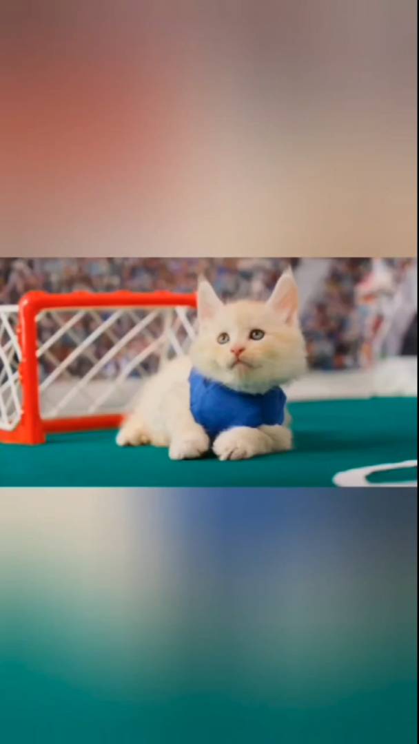 Самый ленивый гол в истории! #кусьшоу #котики #пушистики #футбол #гол