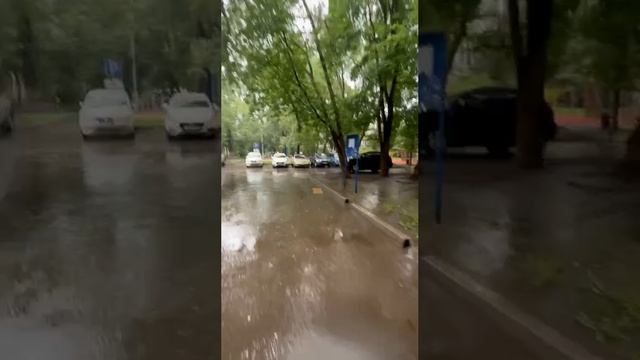Новый день, новые инсайты, новая книга.