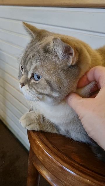 Кофейня Просто,  Санкт-Петербург