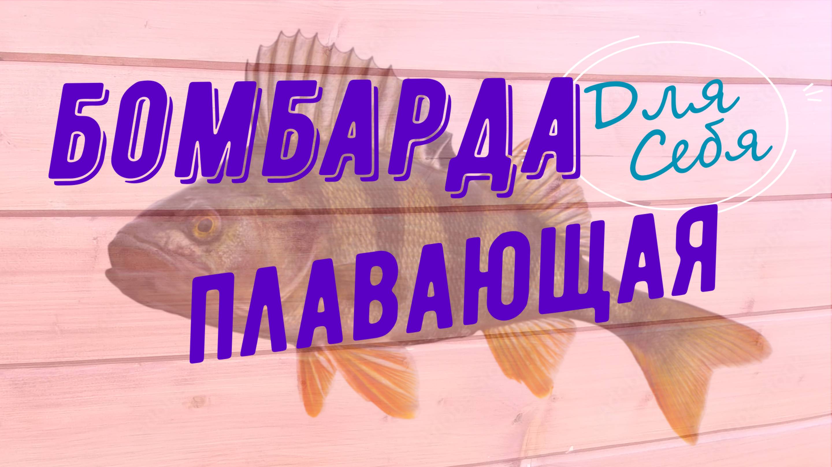 Сбирулино бомбарда