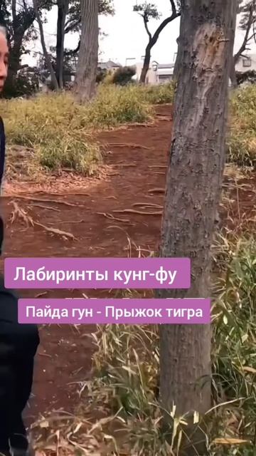 Лабиринты кунг-фу Прыжок тигра