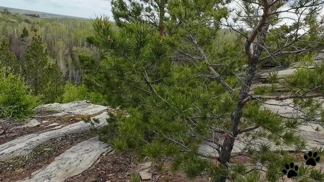Карагай - Губерлинское ущелье весной ⛰️