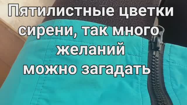 Сирень с пятью лепестками