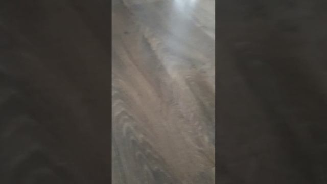 Ночной жор у Басика!!!
