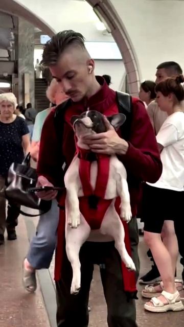 Кого то напоминает