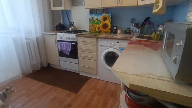 video_2025-06-25_15-29-36
