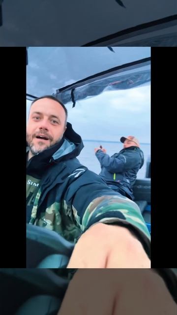 Судаки - монстры тут  #fishing #music #рыбалка #рекомендации #судак