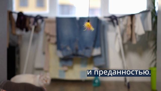 Happy_Cat_Day