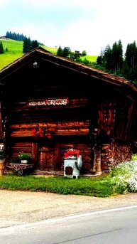 Неожиданные кадры