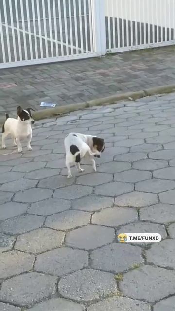 Тащу себя на работу в 7 утра😅