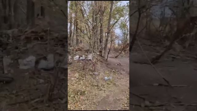Всё изменится на корню.