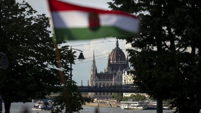 Обвиненный Венгрией в шпионаже украинский экс-дипломат попросился в Россию