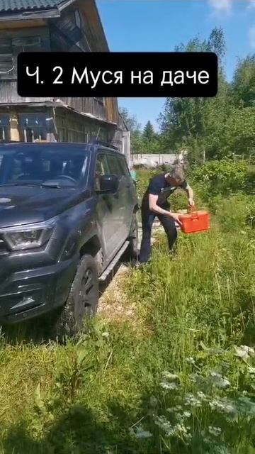 Муся в отпуске🥳🤠😺