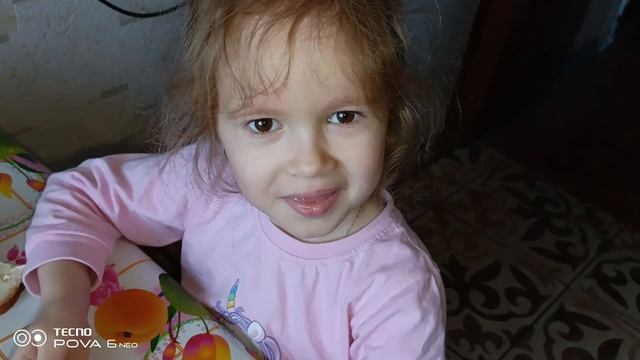 Домашнее видео