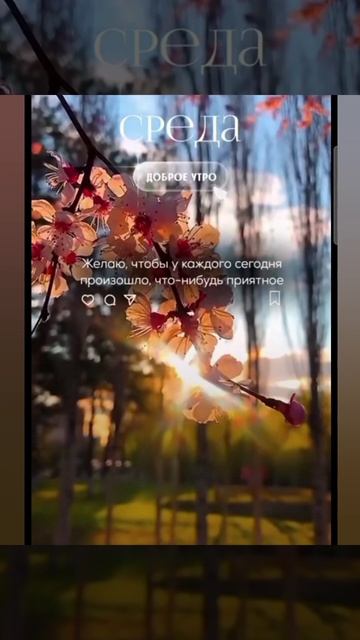 Доброе утро #доброеутро #благодарность