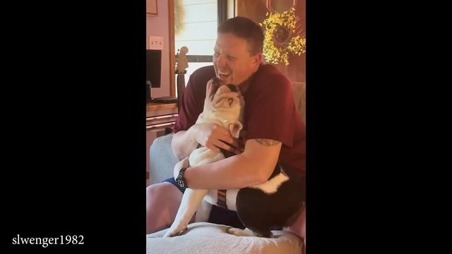 Когда Ваша Собака - самый смешной комик в Семье!  Смешные видео с собаками и людьми