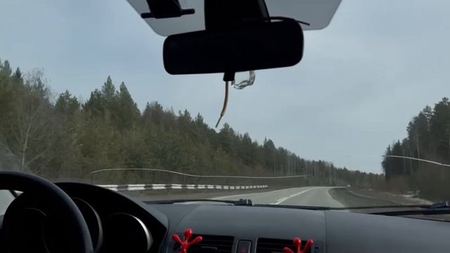 Красота леса, едем домой