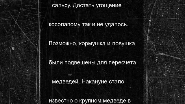В Ярославской области засняли танцующего медведя