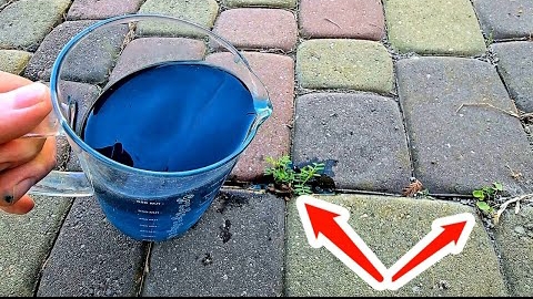 "Как я навсегда избавился от травы🌱 между плитками за 5 минут