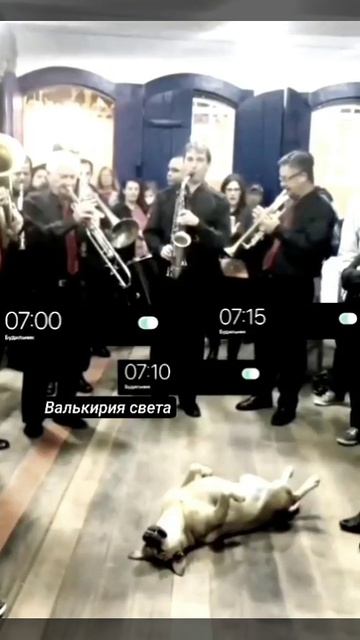 1750794905434.mp4