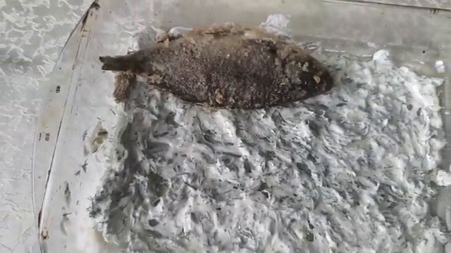 Мужик. Готовлю карася в сметане.