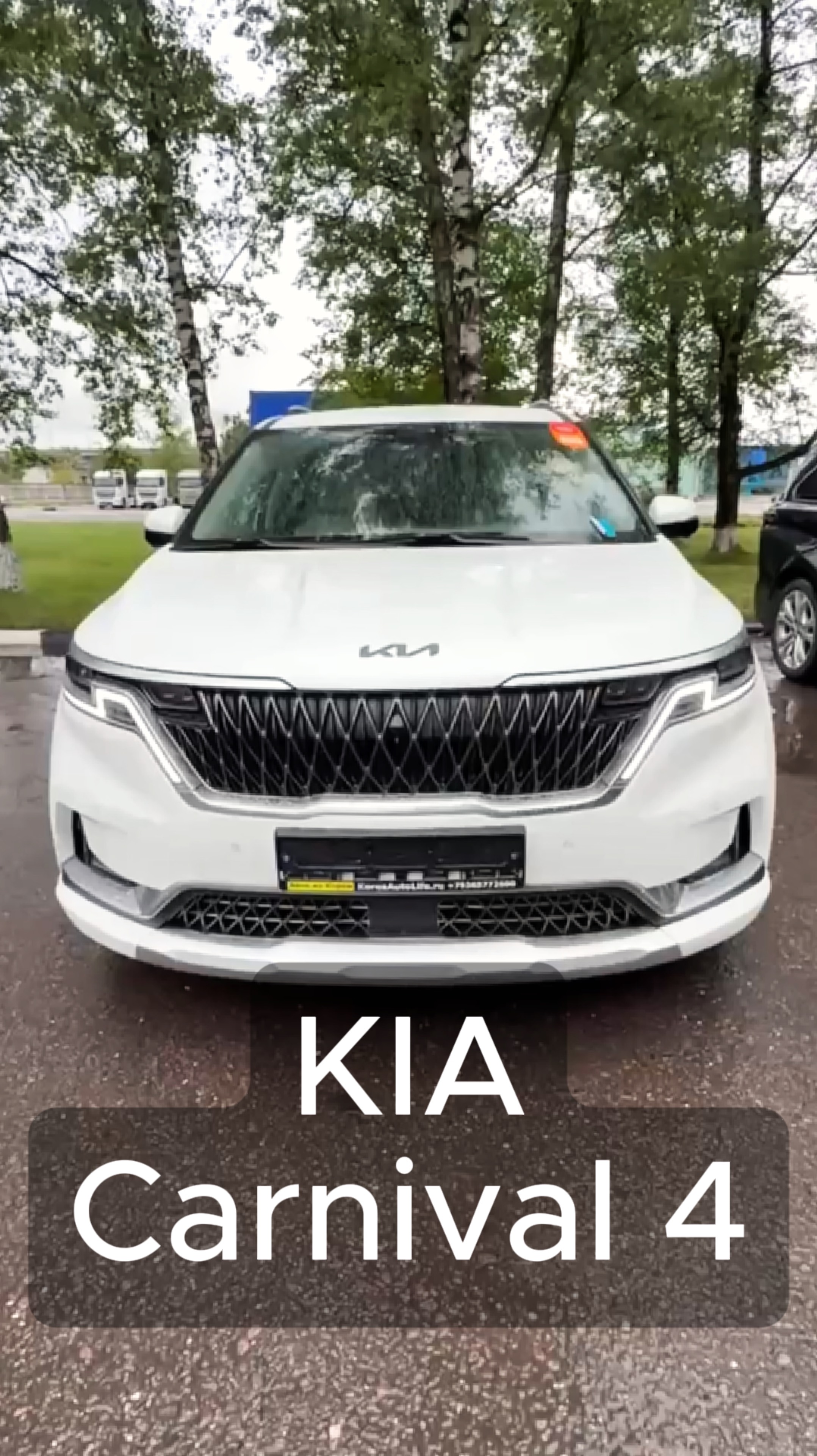 Заказ авто с пробегом из Кореи. Вы знаете, где нас найти.