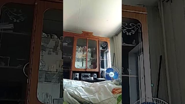 стриптиз домашний