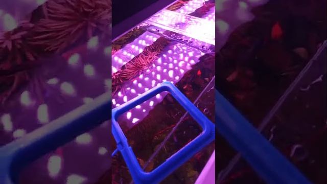 свой мир 2