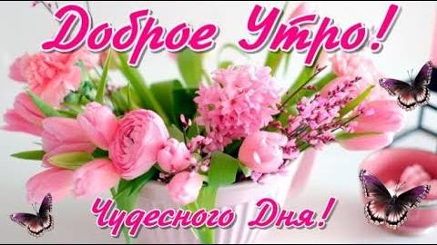 Нежное Утро светит в окошко! Пожелание для всех🌸! С Добрым Утром!