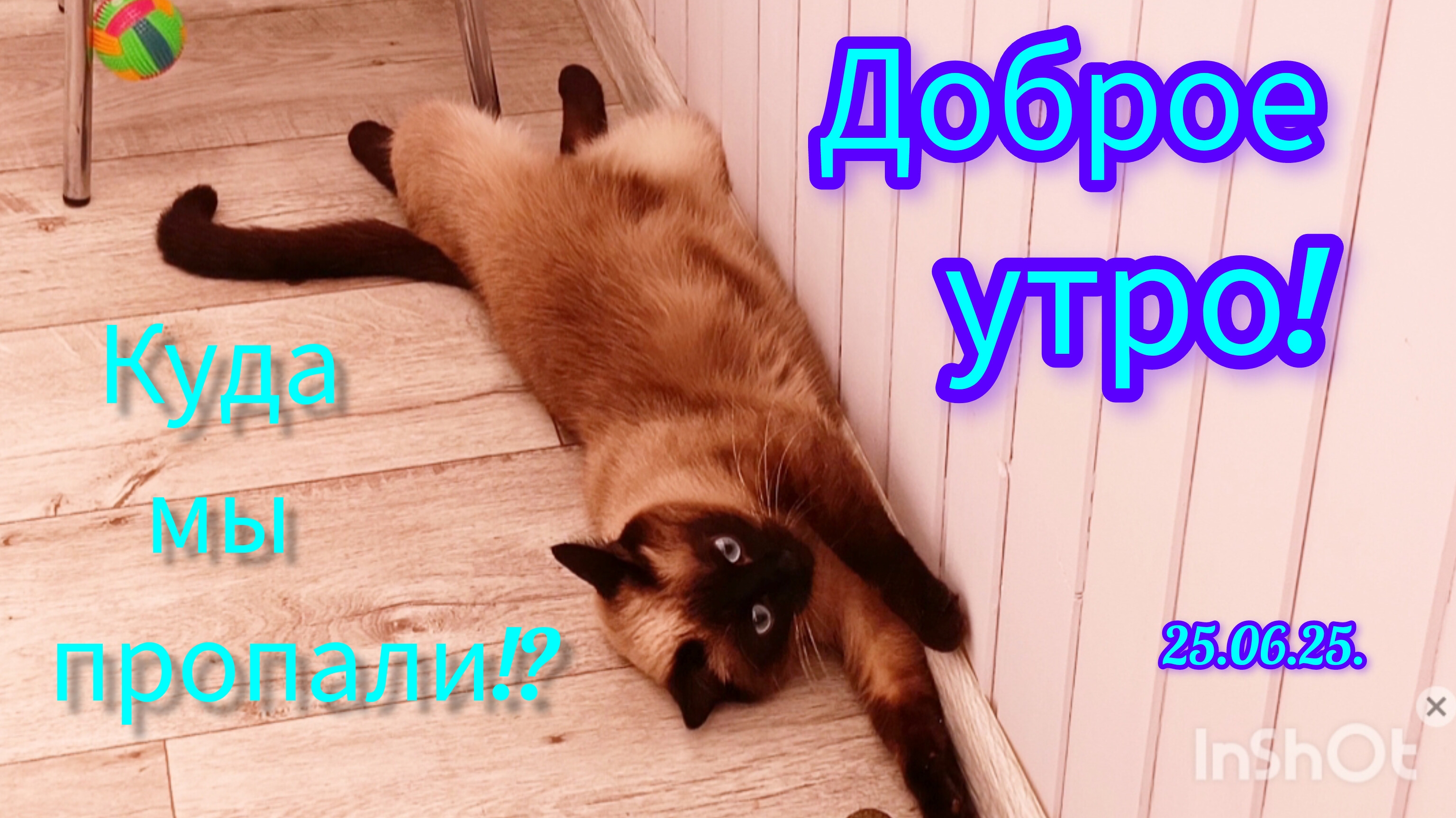 Доброе утро 25-06-2025,куда пропали?#поговорим #жизнь продолжается