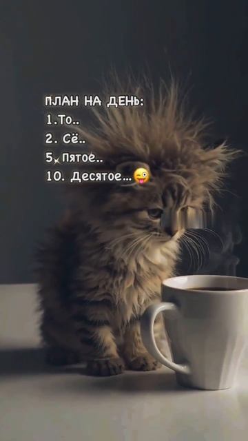 План.)