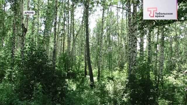 КЛЕЩИ