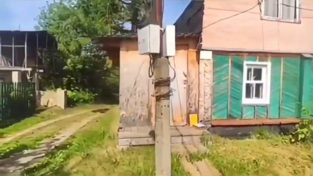 снт шиник