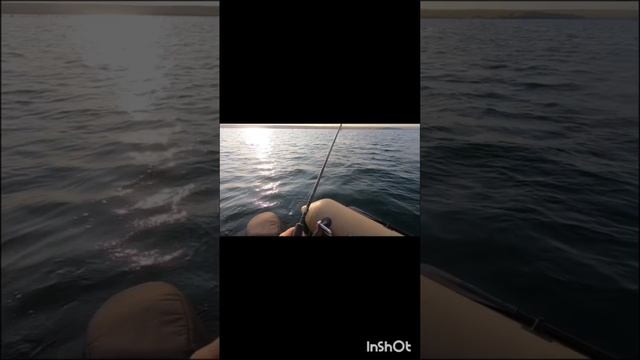 Рыбалка с лодки на самодур.Ловля ставриды в отвес.