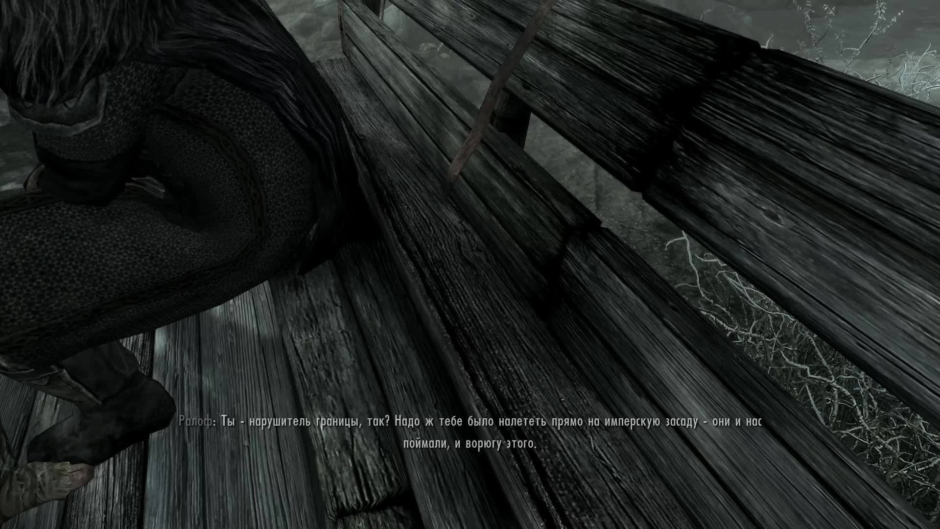 The Elder Scrolls V Skyrim  режим легенда